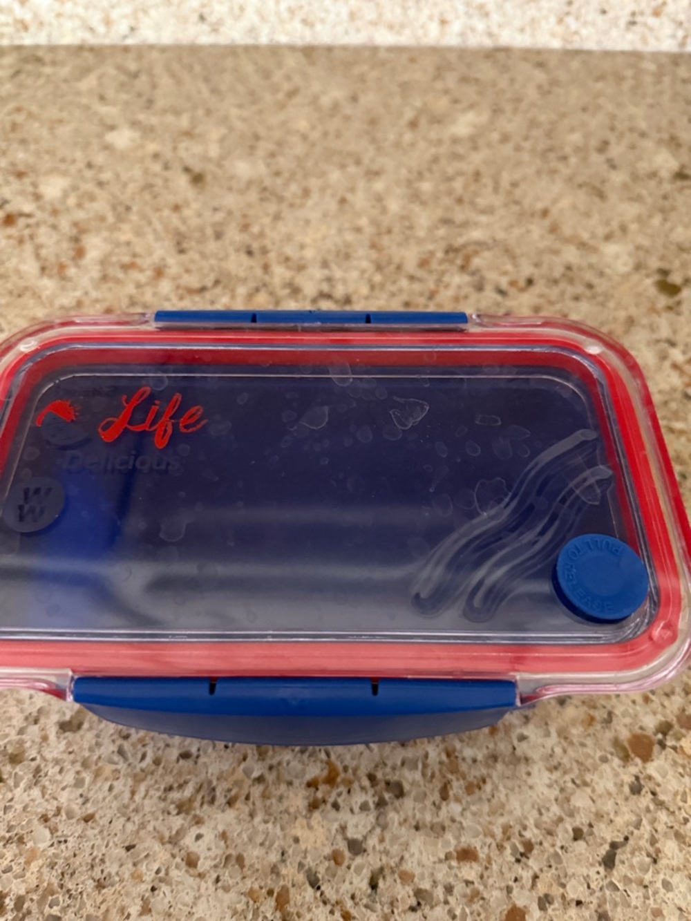 Silicone-Sealed Blue & Red Food Storage Container